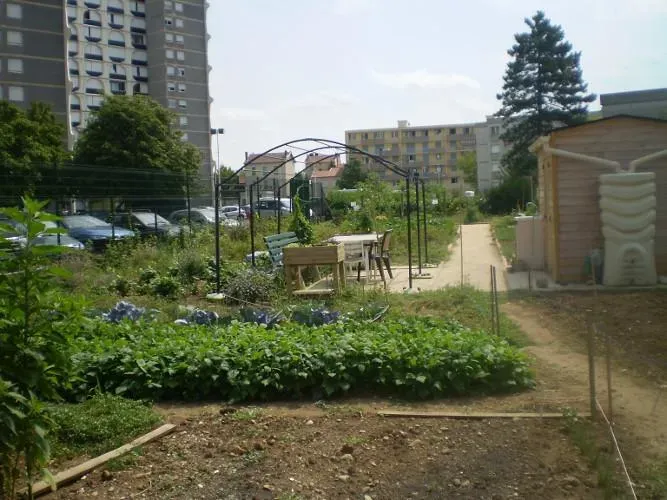 Jardin partagé à Lyon